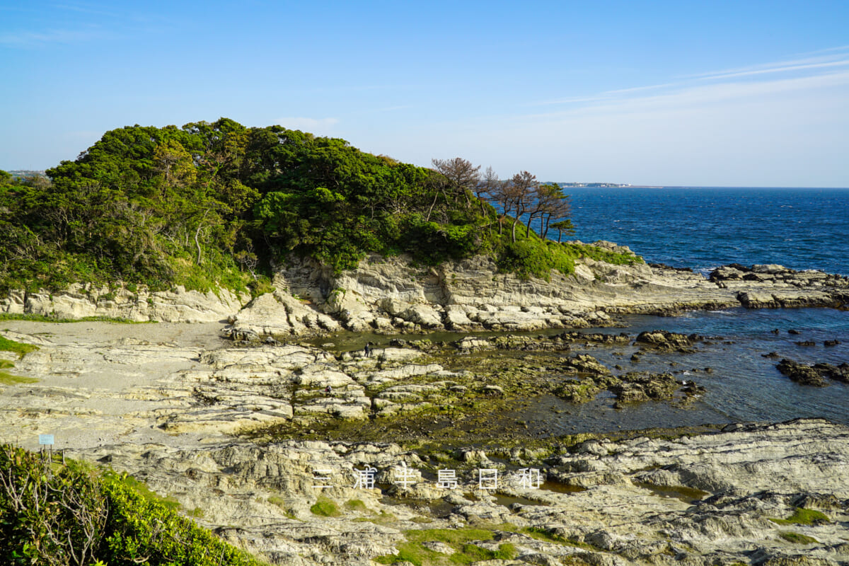 荒崎公園・潮風の丘全景（撮影日：2021.04.22）