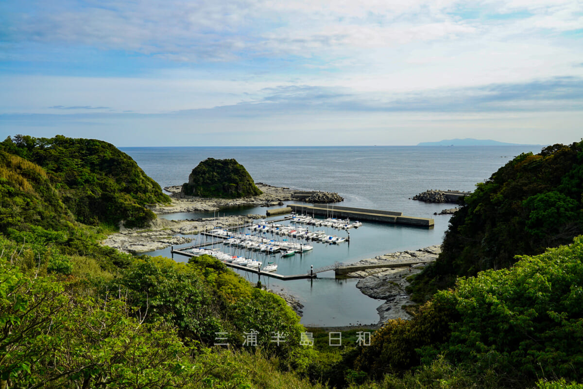 宮川公園・展望台からみうら宮川フィッシャリーナと遠くに伊豆大島を望む(撮影日:2021.04.15)
