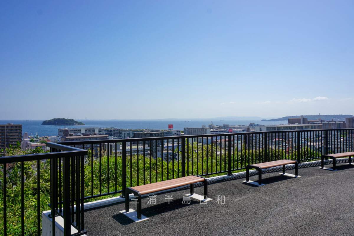 平和中央公園・芝生広場から東京湾を望む(撮影日:2021.04.23)