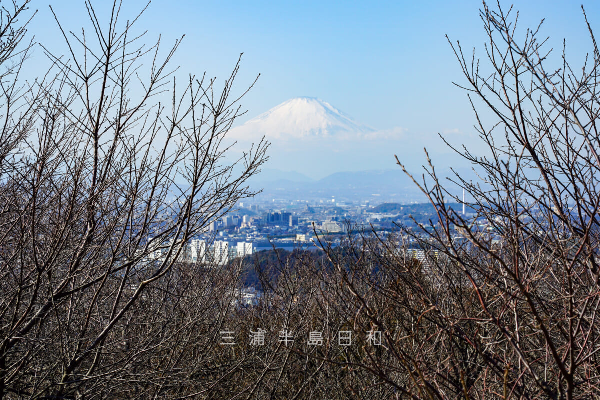 六国見山森林公園・展望台から富士山を望む（撮影日：2021.02.05）