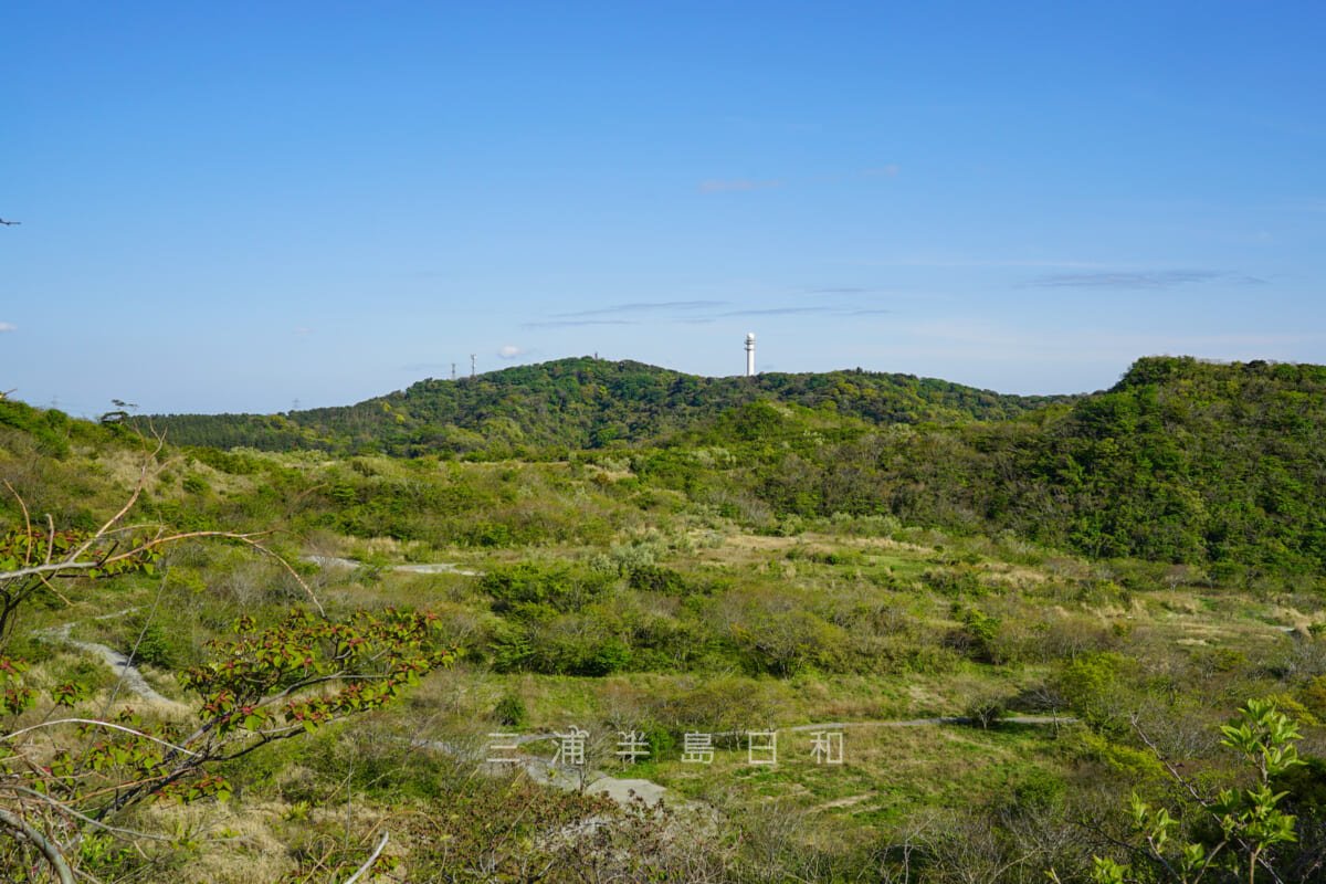 大楠山・湘南国際村から望む(撮影日:2021.04.10)