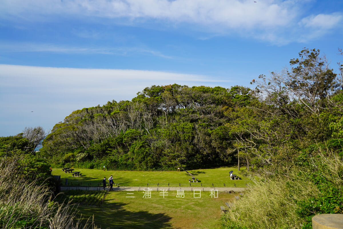 荒崎公園・憩いの広場(撮影日:2021.04.22)