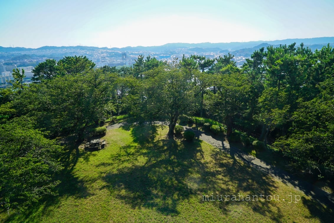 野島公園・展望台から山頂の芝生広場を見下ろす（撮影日：2020.08.15）