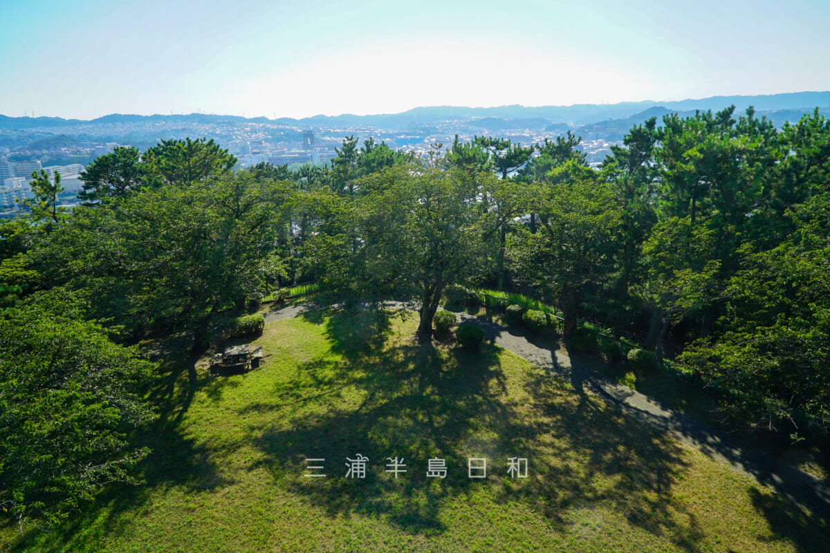 野島公園・展望台から山頂の芝生広場を見下ろす（撮影日：2020.08.15）