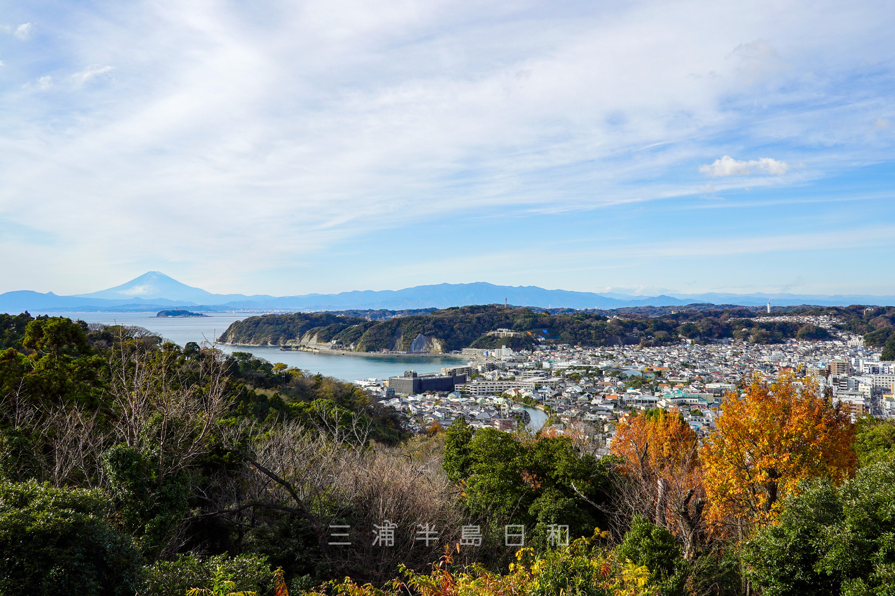 長柄桜山古墳群 | 逗子と葉山にまたがる2基の神奈川県最大の前方後円墳