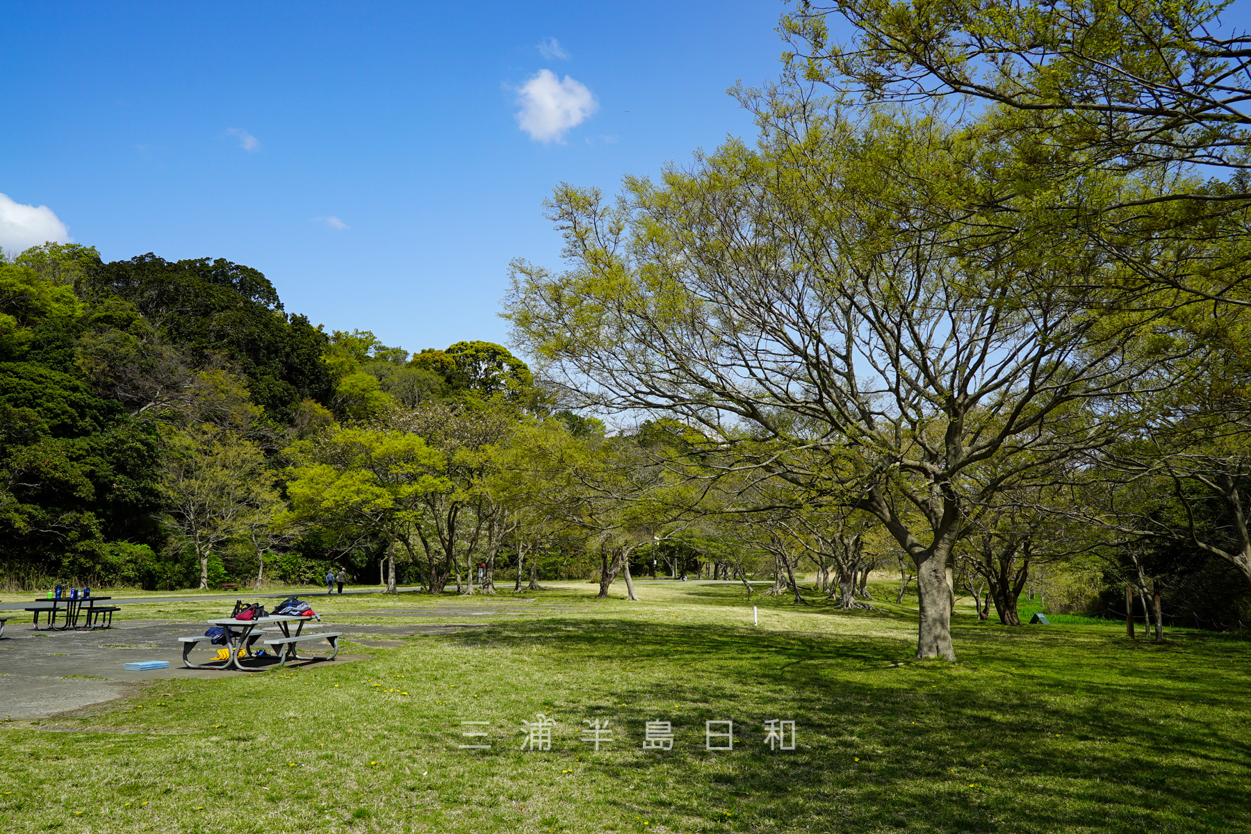池子の森自然公園・緑地エリア・芝生広場（撮影日：2021.04.03）