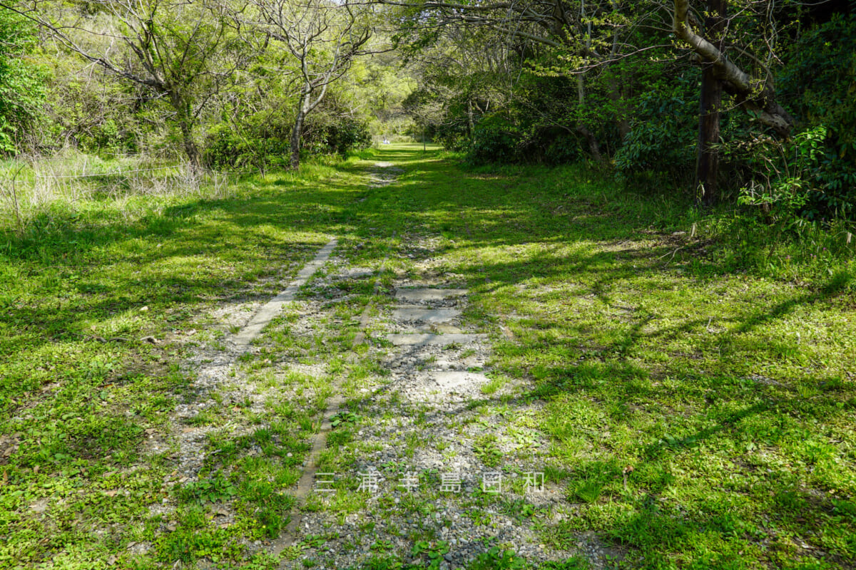 池子の森自然公園・緑地エリアに残る廃線跡（撮影日：2021.04.03）