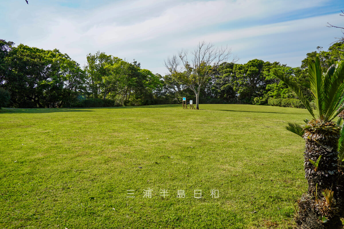 荒崎公園・ピクニック広場（撮影日：2021.04.22）