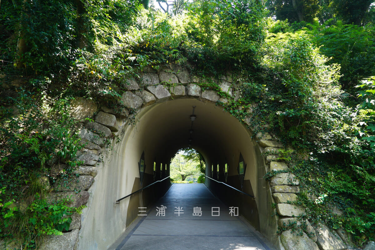 金沢文庫・称名寺に続くトンネル（撮影日：2020.08.15）