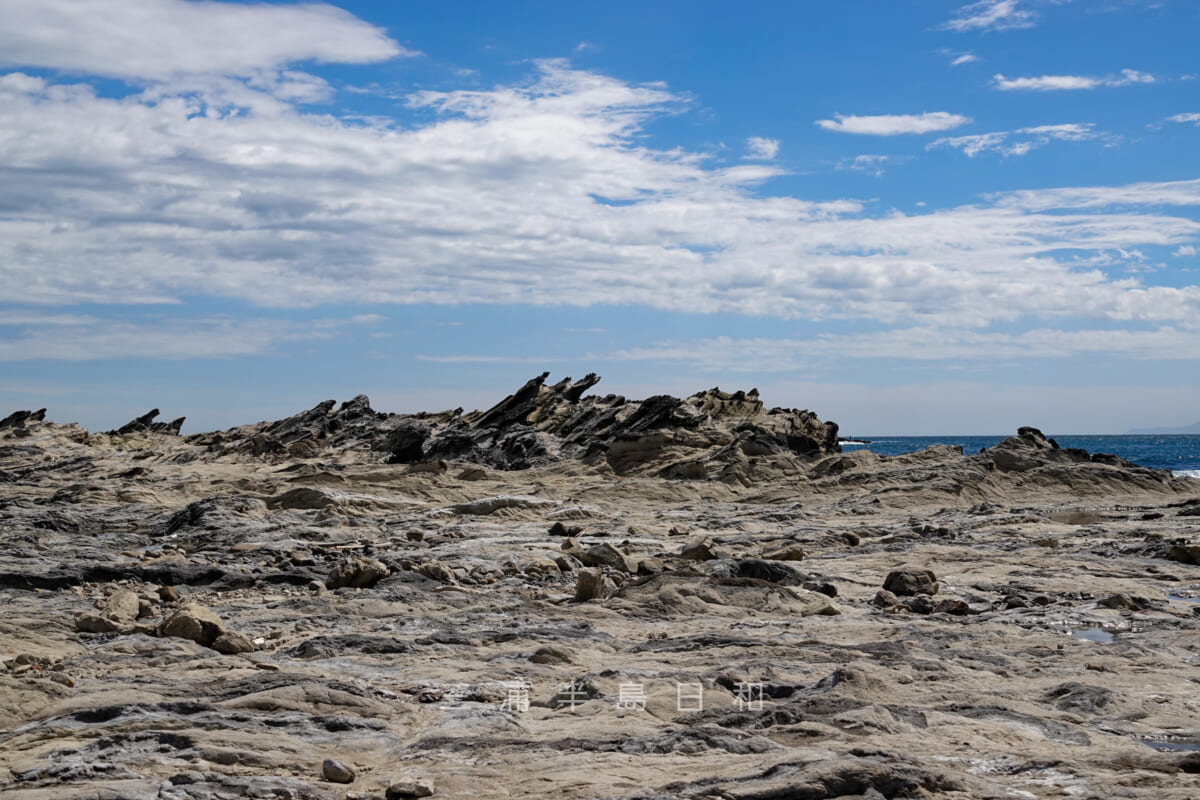 剱崎・海に面する露頭した地層（撮影日：2018.08.17）