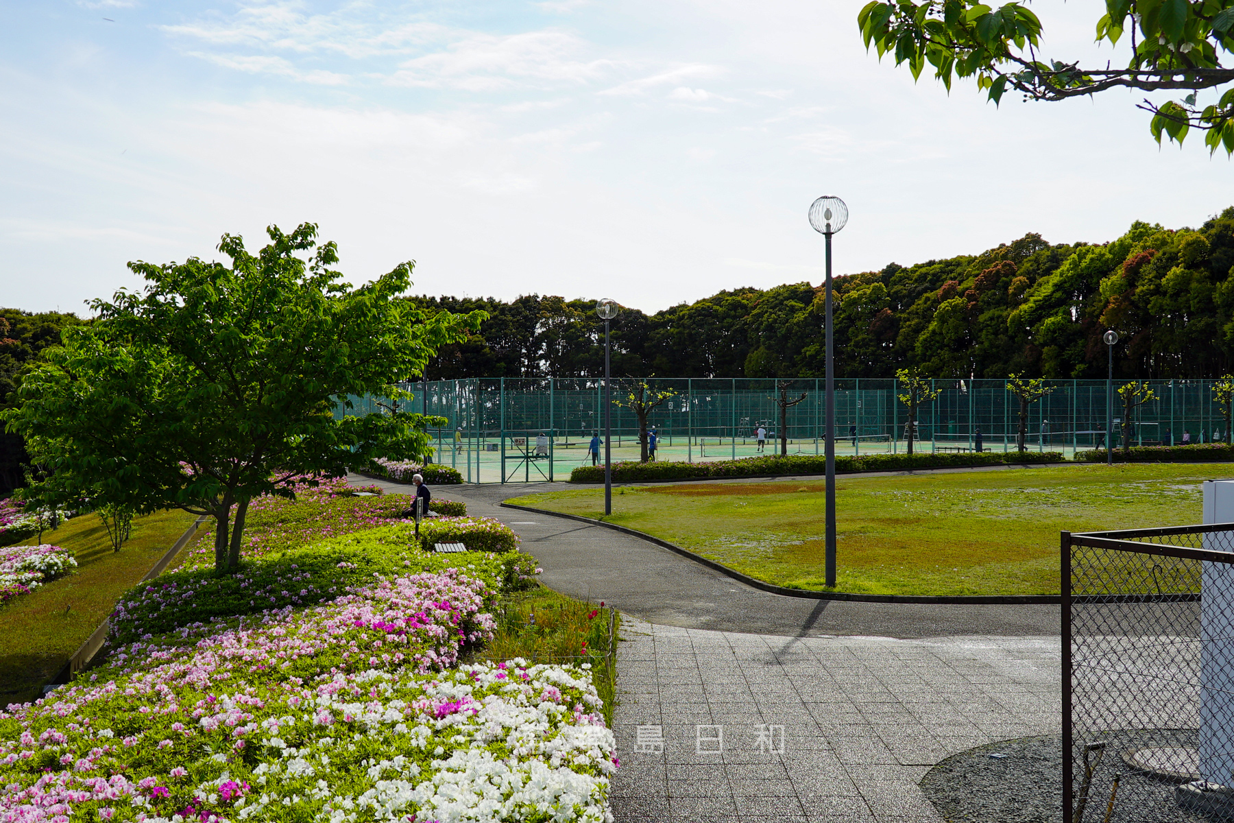湘南国際村西公園・入口付近からテニスコートを望む（撮影日：2021.04.15）