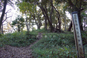 長柄桜山古墳群・第2号墳