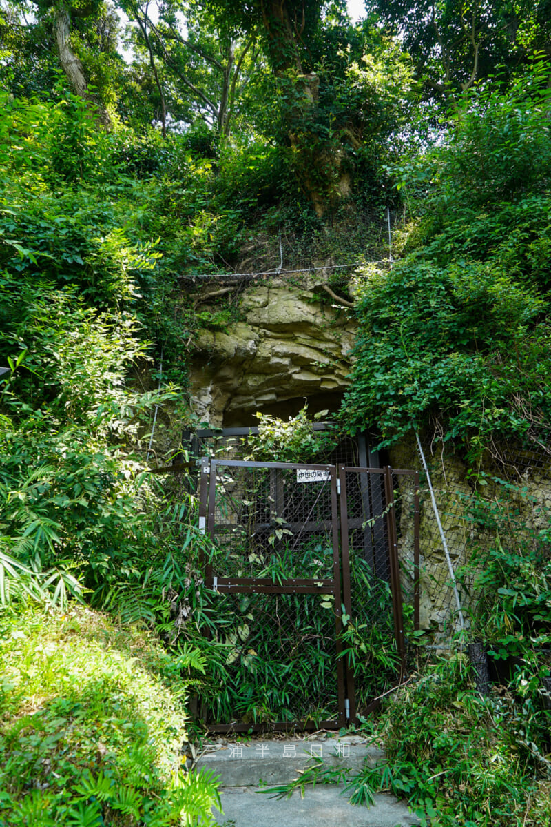 金沢文庫・称名寺に続く中世のトンネル(撮影日:2020.08.15)