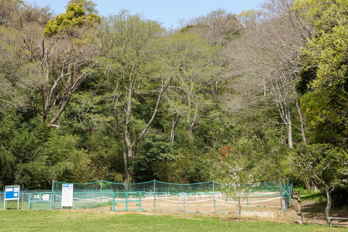 南郷上ノ山公園・ドッグヤード(撮影日:2021.03.31)