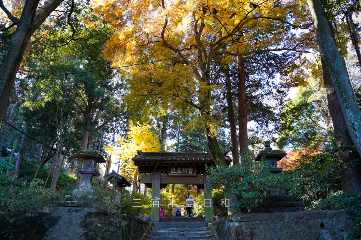 浄智寺・総門（撮影日：2020.12.16）