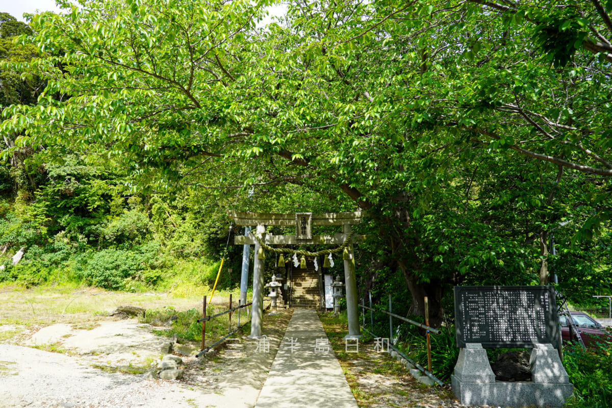 三浦富士・津久井浜駅の隣りに建つ浅間神社の鳥居（撮影日：2021.04.27）