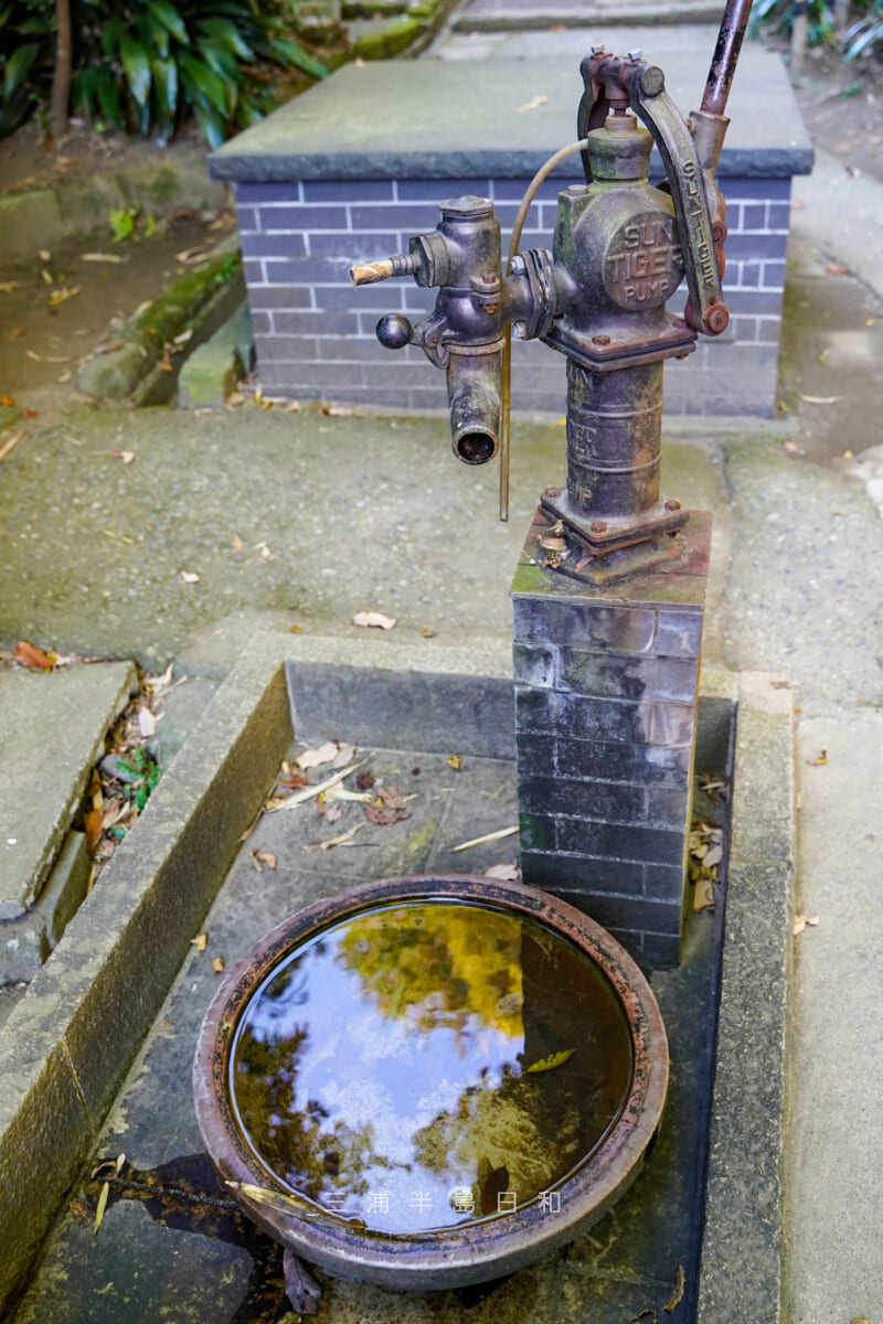 浄智寺・井戸（撮影日：2020.12.16）