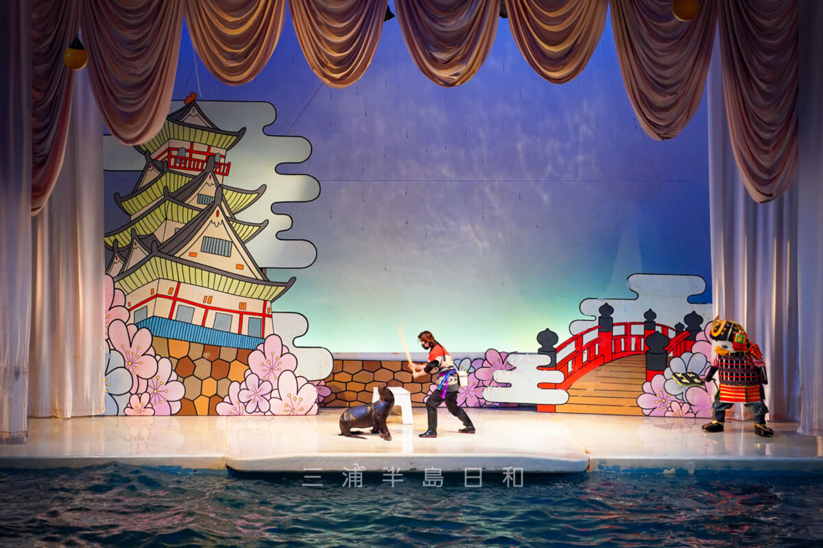 京急油壺マリンパーク・屋内大海洋劇場「ファンタジアム」・あしかのパフォーマンス(撮影日:2021.05.03)