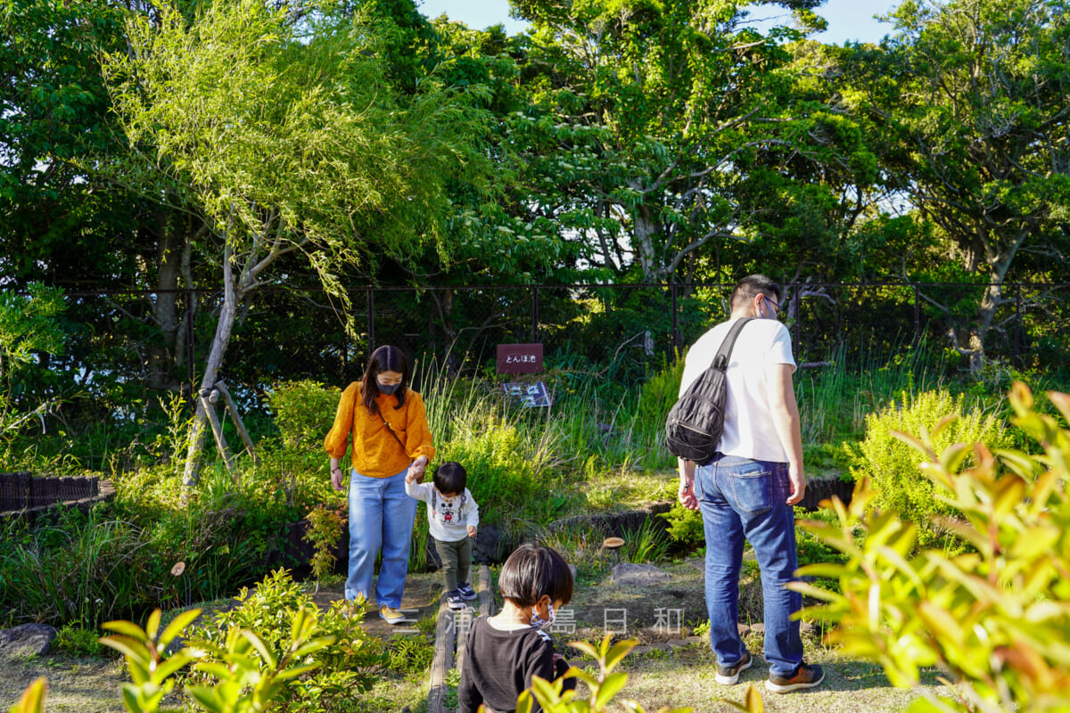 京急油壺マリンパーク・かわうその森・トンボ池(撮影日:2021.05.03)