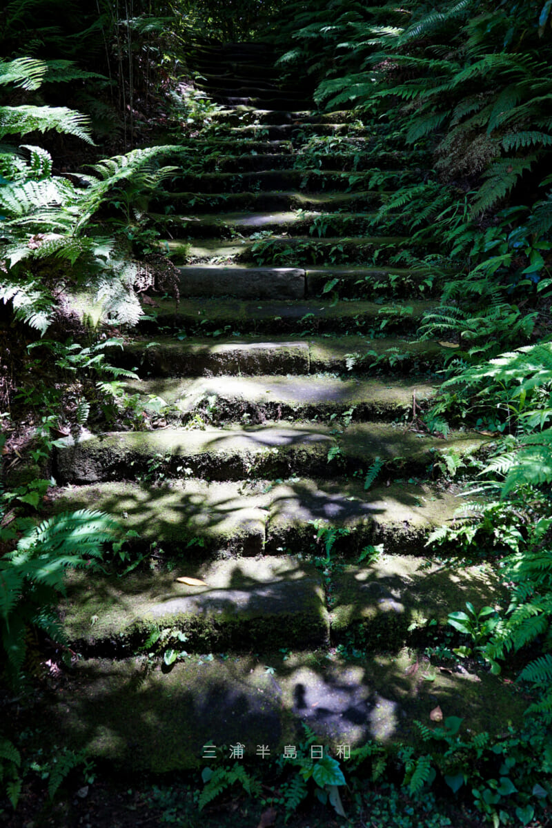 瑞泉寺・苔むす男坂(撮影日:2021.05.10)