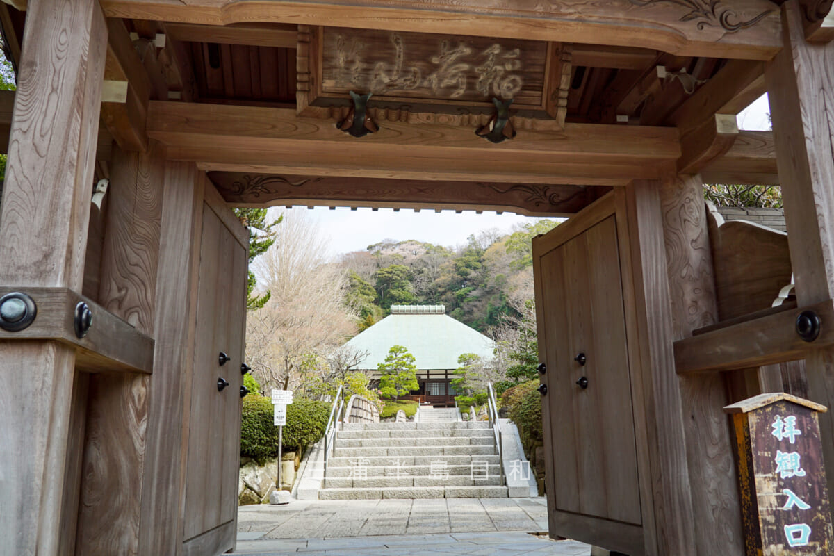 浄妙寺・山門から見た本堂（撮影日：2021.03.16）