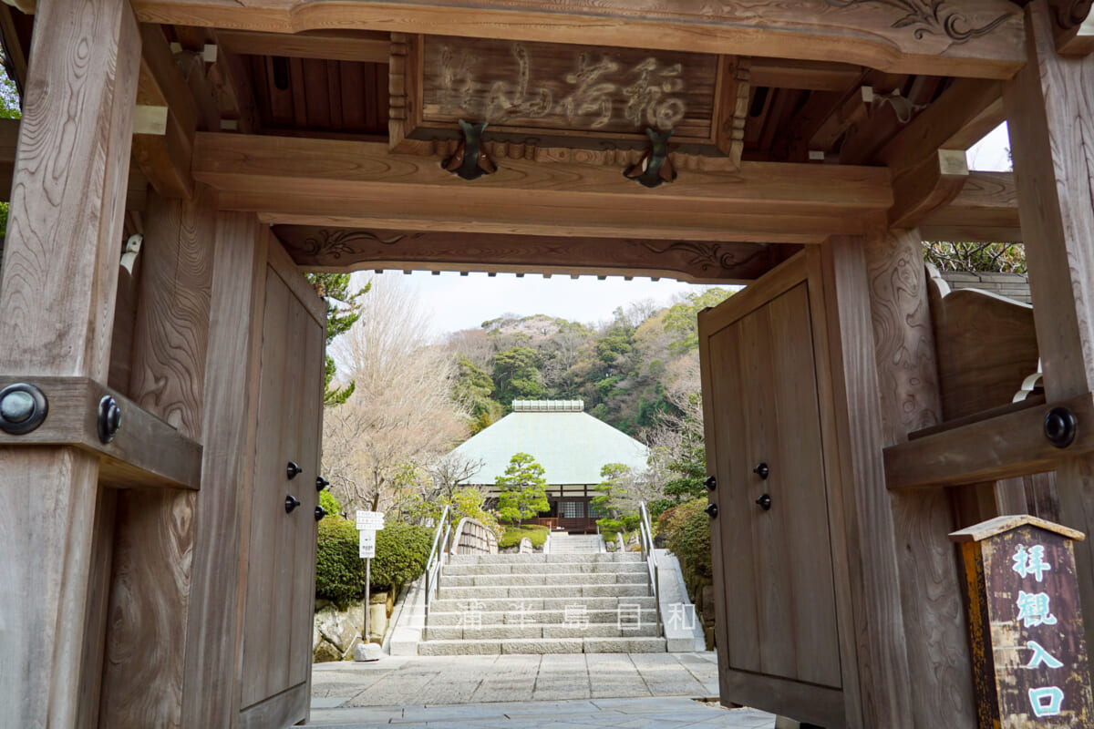 浄妙寺・山門から見た本堂(撮影日:2021.03.16)