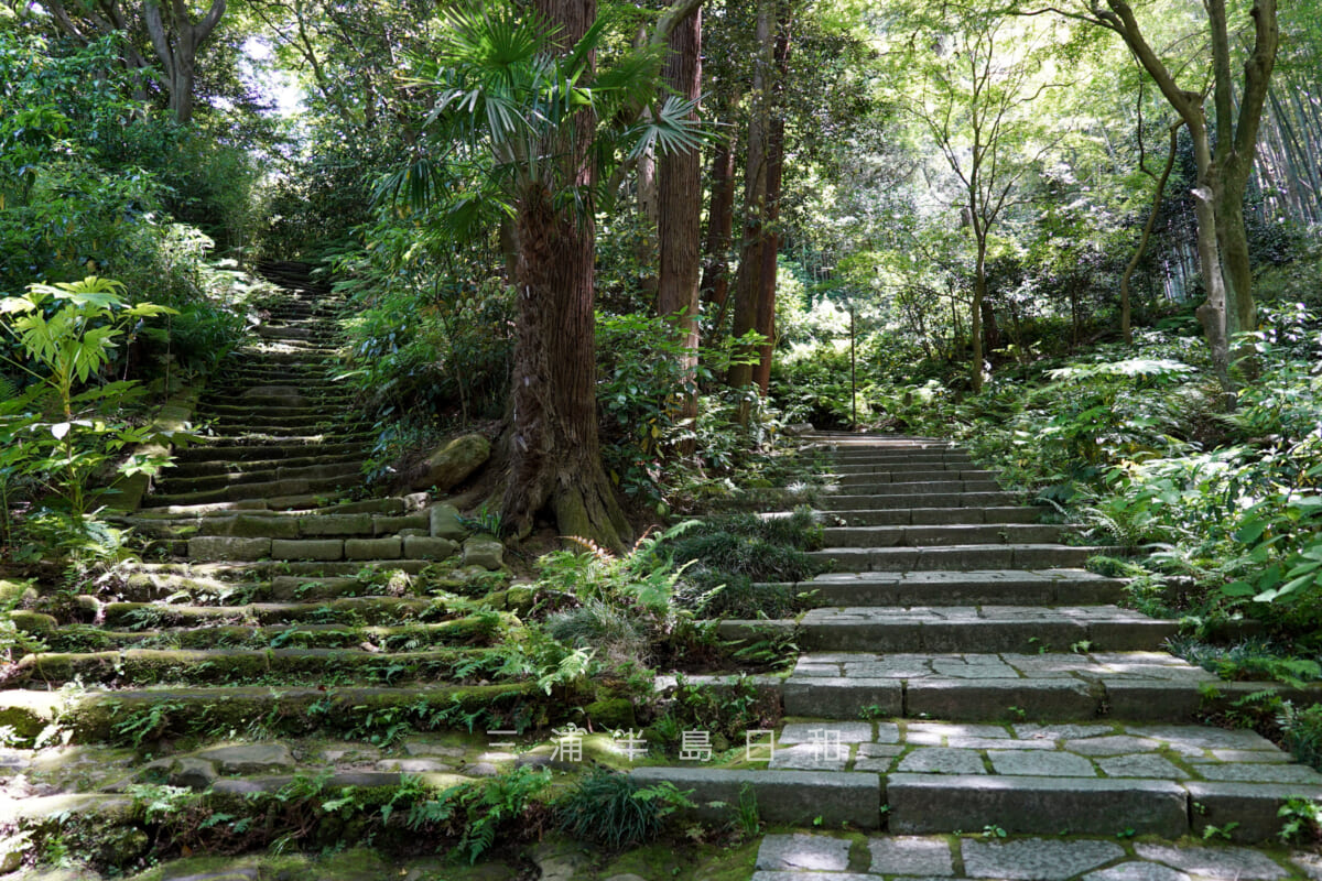 瑞泉寺・男坂と女坂(撮影日:2021.05.10)