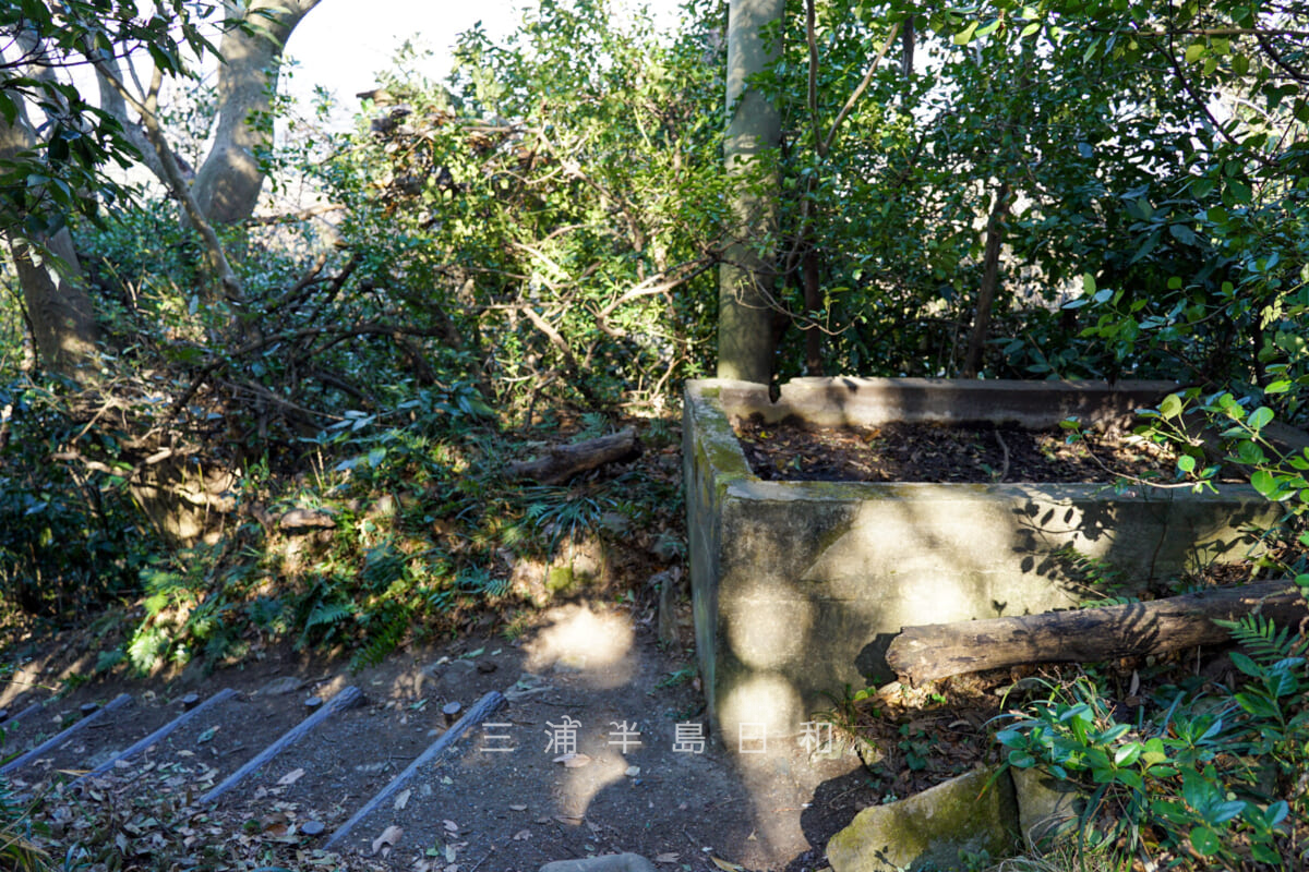 砲台山・武山防空砲台(武山高角砲台)の関連施設跡・何かの貯水槽(撮影日:2021.01.21)