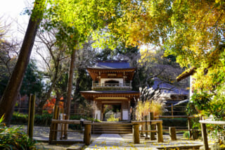 浄智寺 | 山深い大寺院のような雰囲気を味わえる唐様の鐘楼門が特徴の禅寺