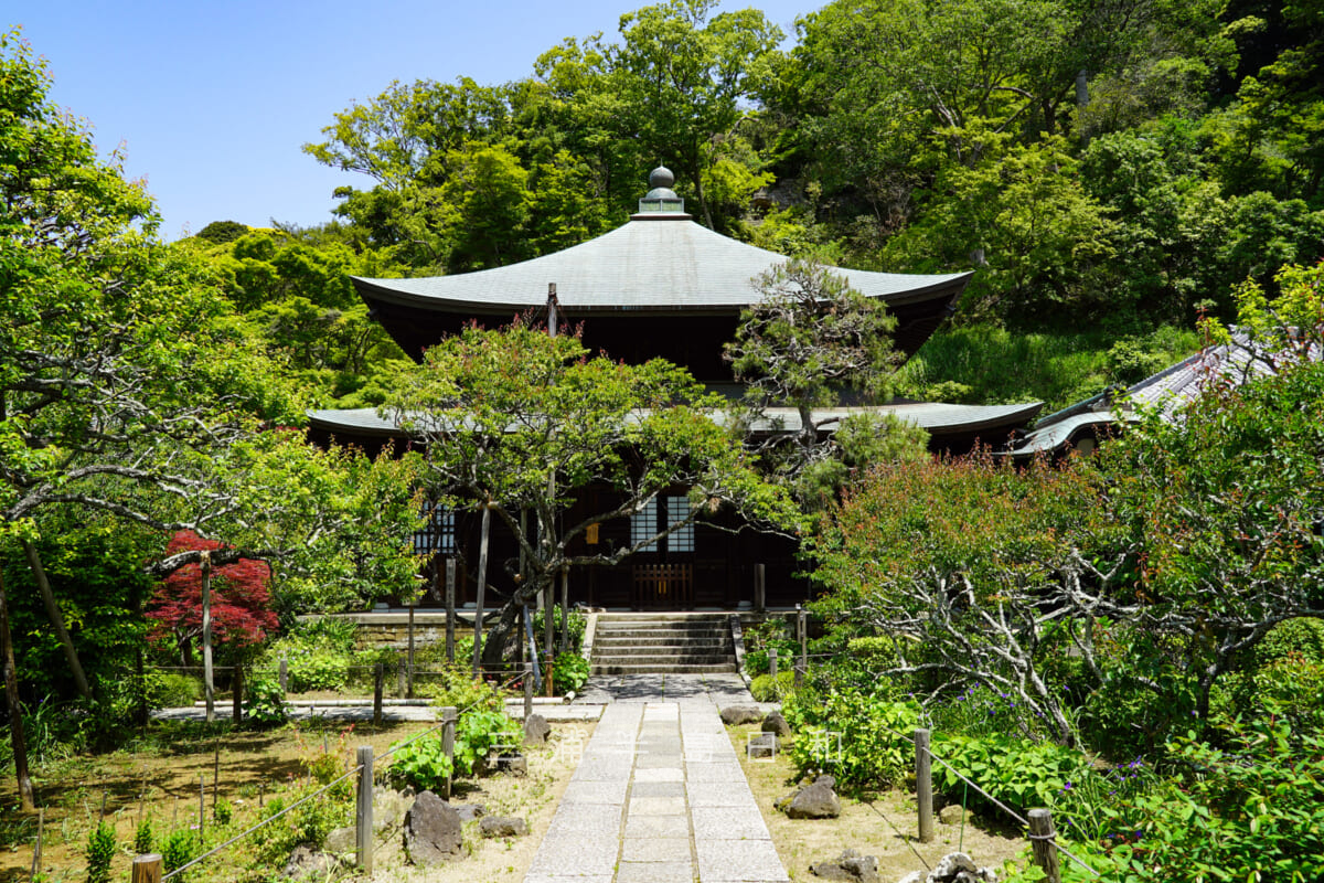 瑞泉寺・本堂(撮影日:2021.05.10)