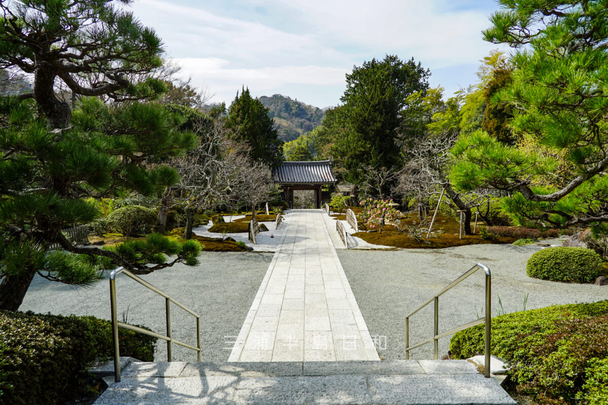 浄妙寺・本堂から見た庭園(撮影日:2021.03.16)