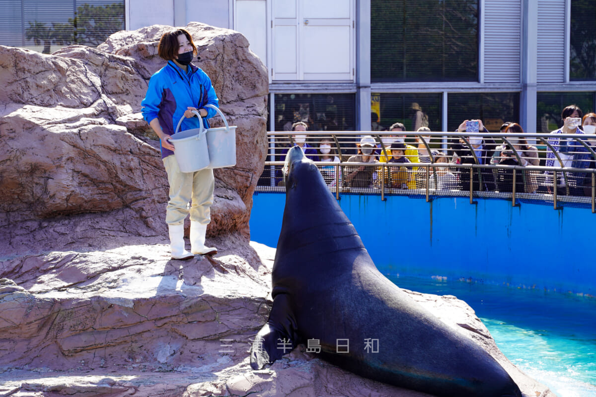 京急油壺マリンパーク・あしか島・お食事タイム(撮影日:2021.05.03)