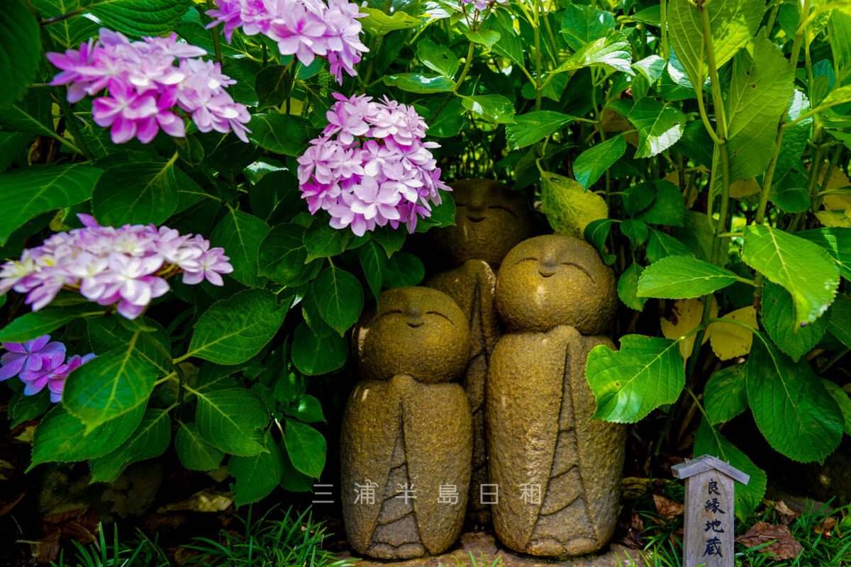 長谷寺・良縁地蔵(撮影日:2021.05.28)