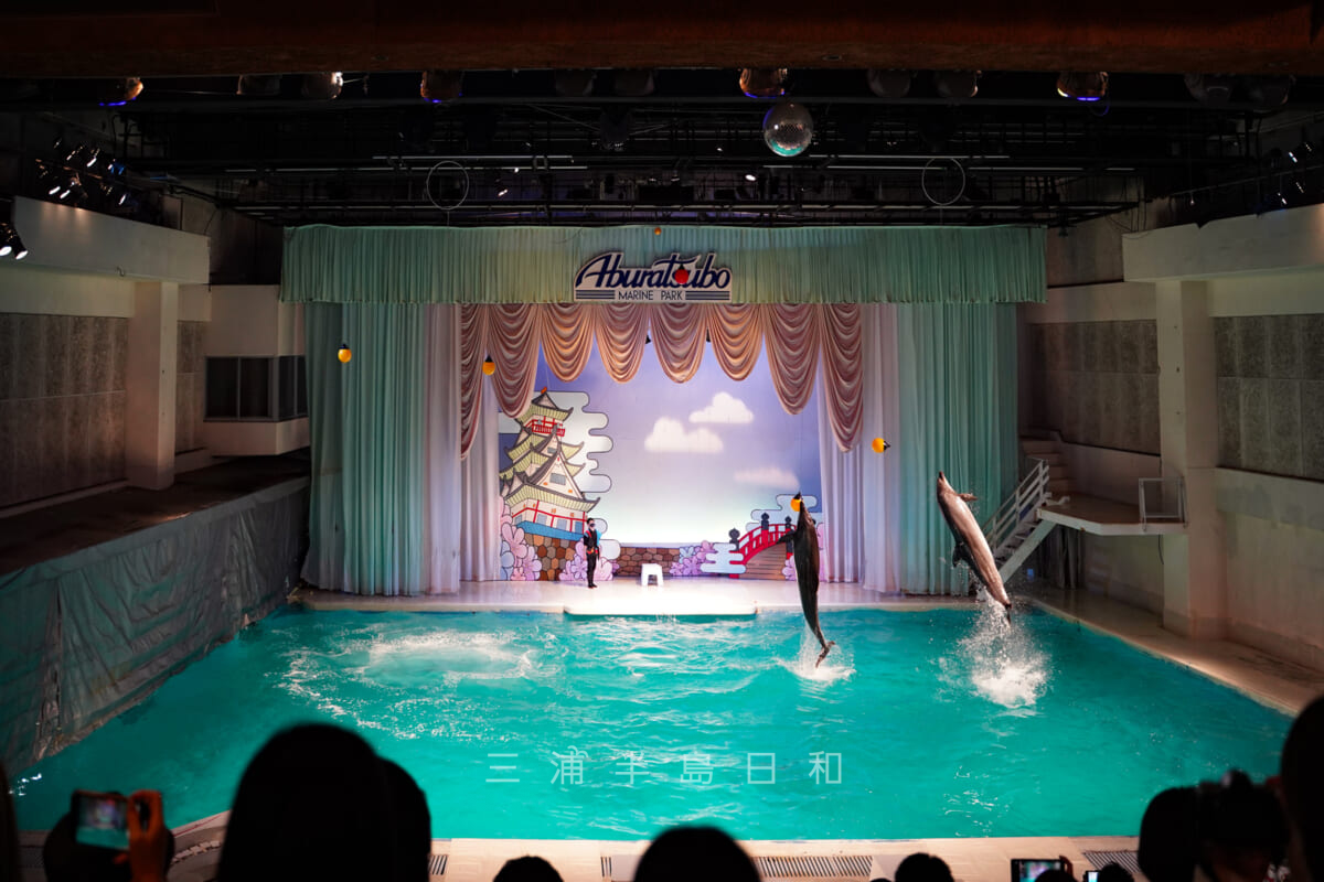 京急油壺マリンパーク・屋内大海洋劇場「ファンタジアム」・いるかの大ジャンプ(撮影日:2021.05.03)