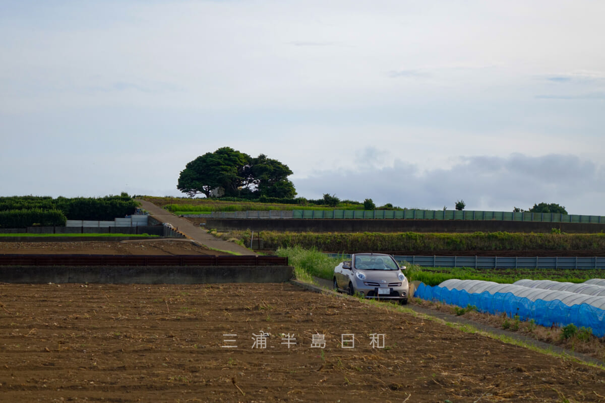 稲村ジェーン・給水塔の丘（撮影日：2021.06.15）