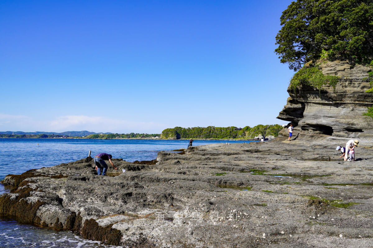 胴網海岸・東側の岩場(撮影日:2021.05.03)