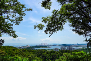 称名寺市民の森・北条実時の墓
