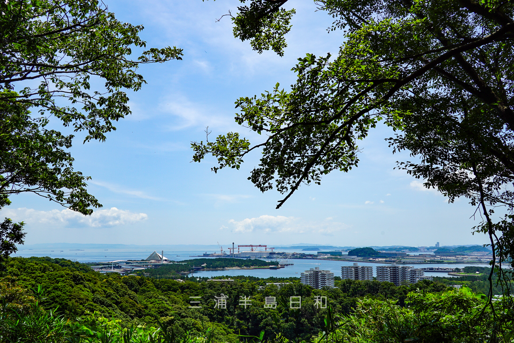 称名寺市民の森・八角堂広場から八景島、海の公園方面を望む（撮影日：2021.06.11）