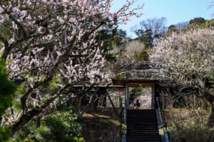 東慶寺