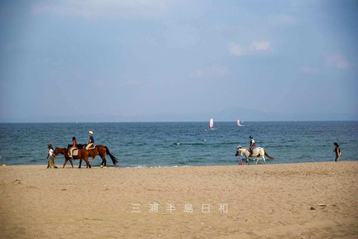 菊名海岸・砂浜で乗馬体験を楽しむ列（撮影日：2009.09.27）