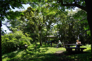 県立はやま三ヶ岡山緑地