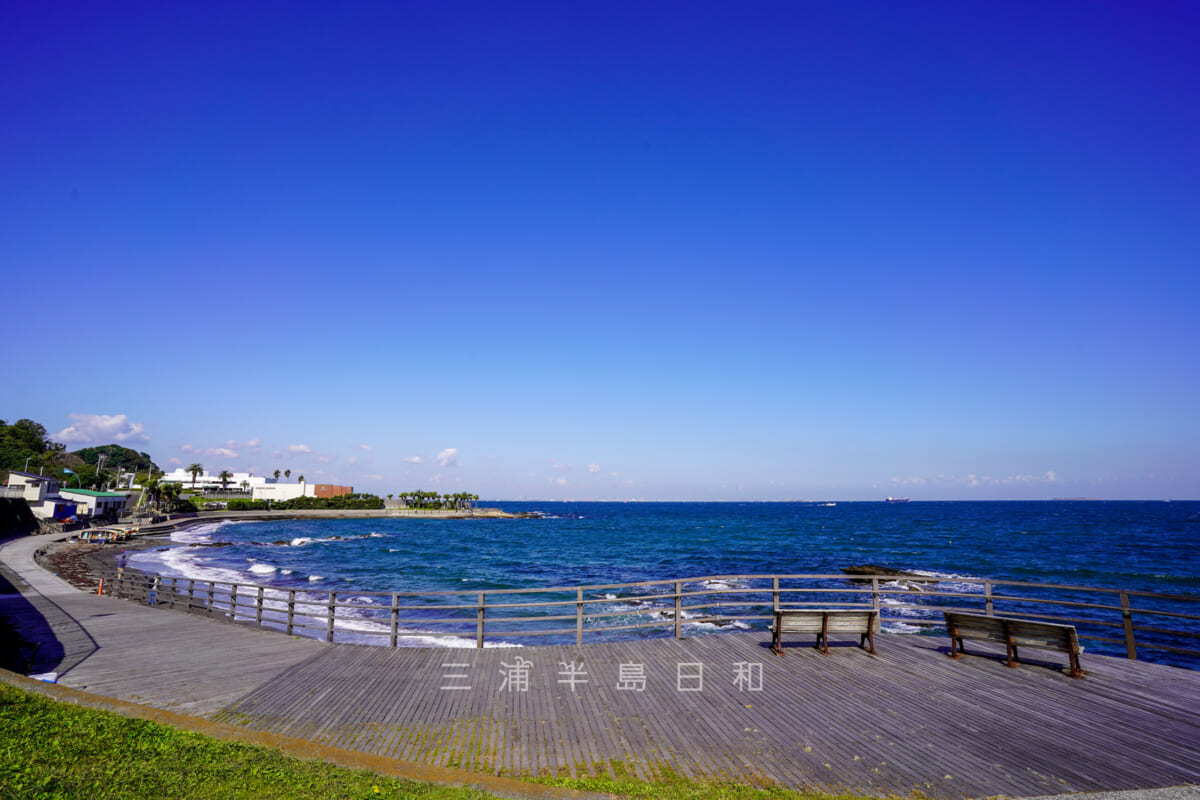 県立観音崎公園・走水観音崎遊歩道(走水観音崎ボードウォーク)(撮影日:2020.10.21)