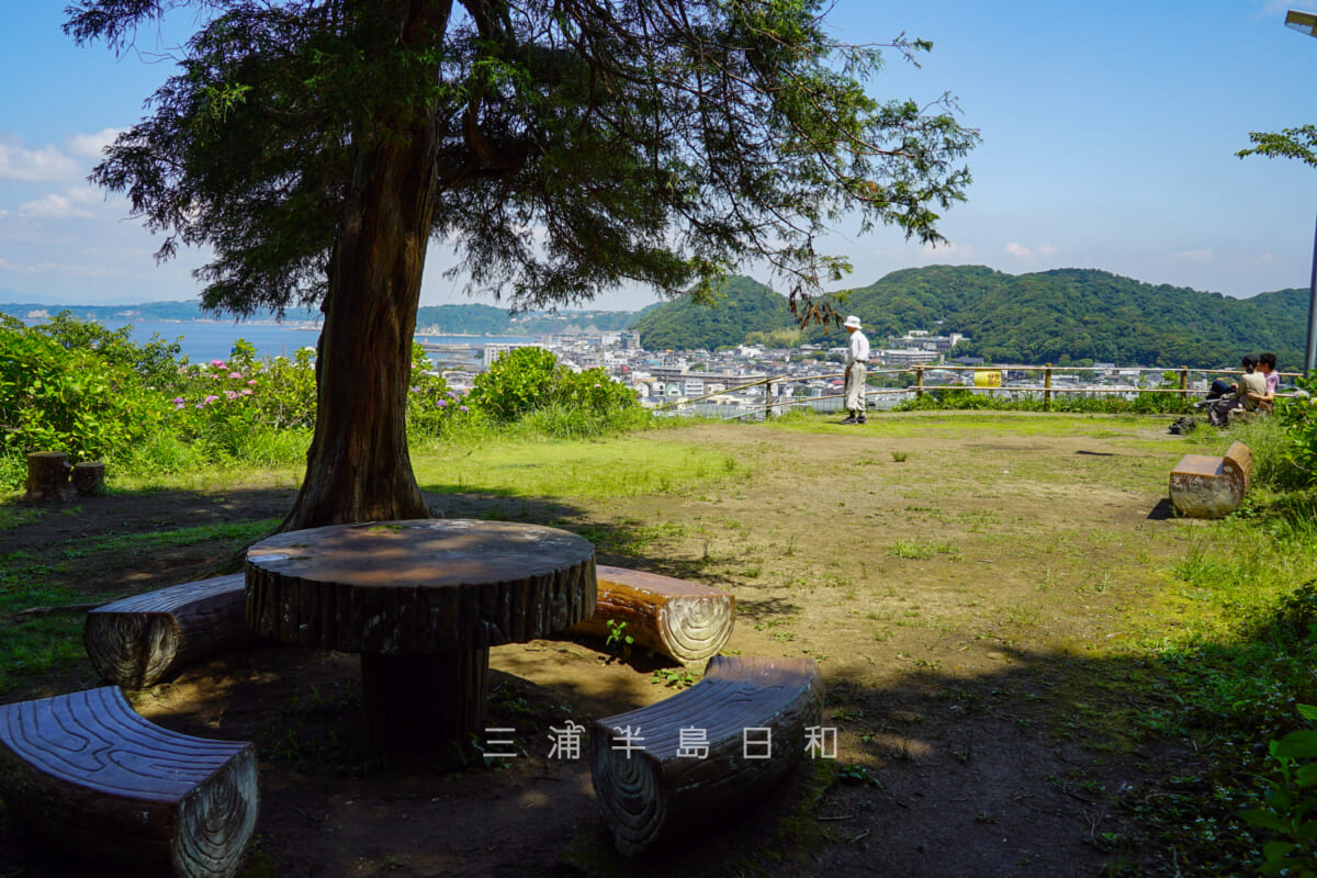 あじさい公園・展望広場(撮影日:2021.06.01)