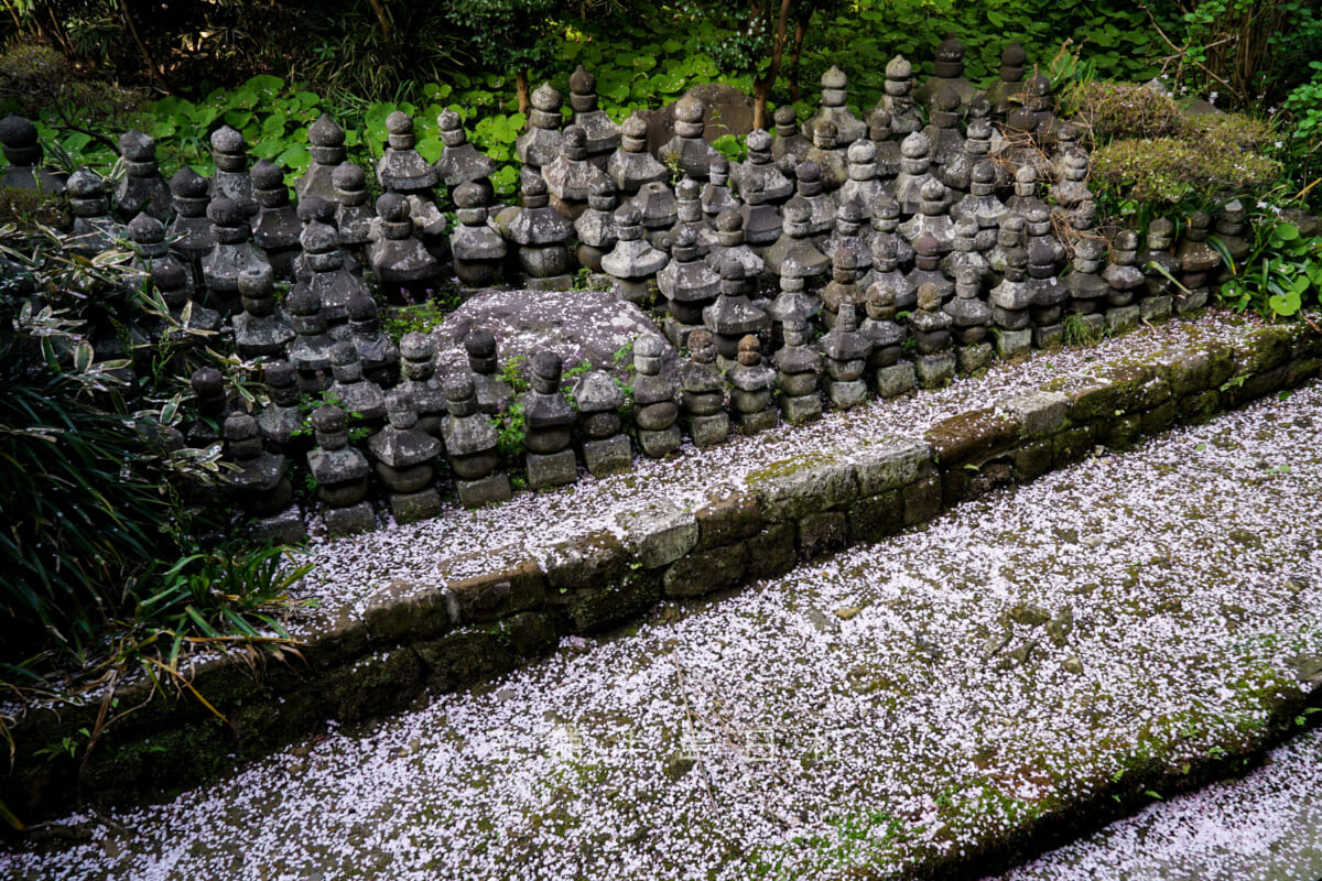 光明寺・回廊沿いにある石塔群(撮影日:2018.04.01)