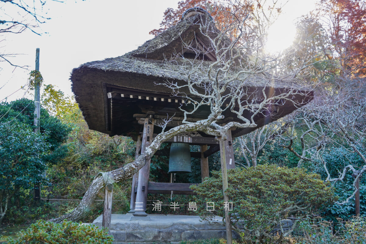 東慶寺・鐘楼(撮影日:2020.12.16)