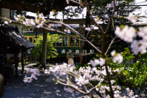 御霊神社[坂ノ下]（権五郎神社）