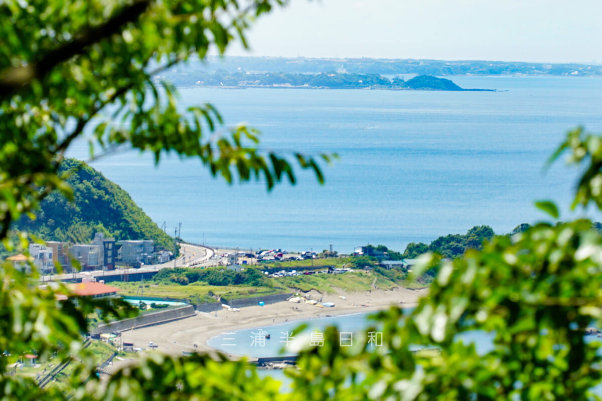 県立はやま三ヶ岡山緑地・西の尾根からの一色海岸方面の眺望（撮影日：2021.06.01）