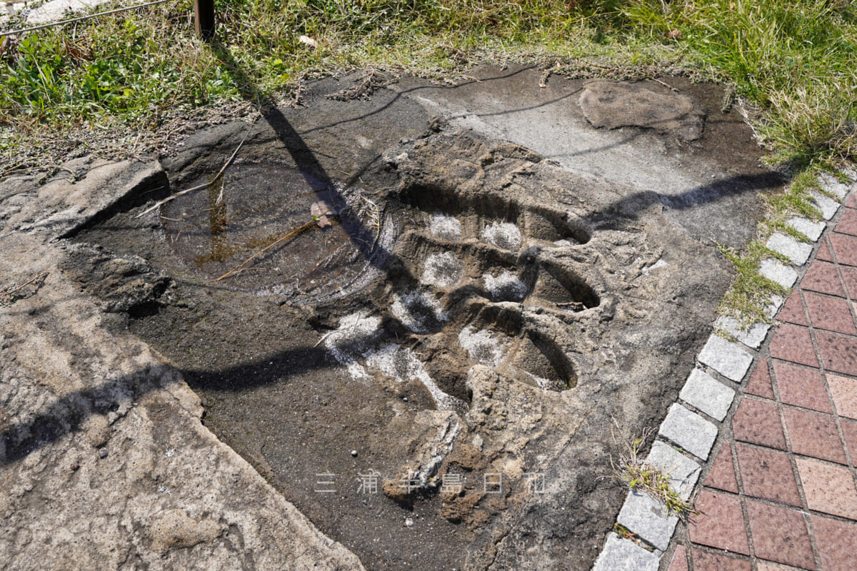 たたら浜・ゴジラの足跡(撮影日:2020.10.21)