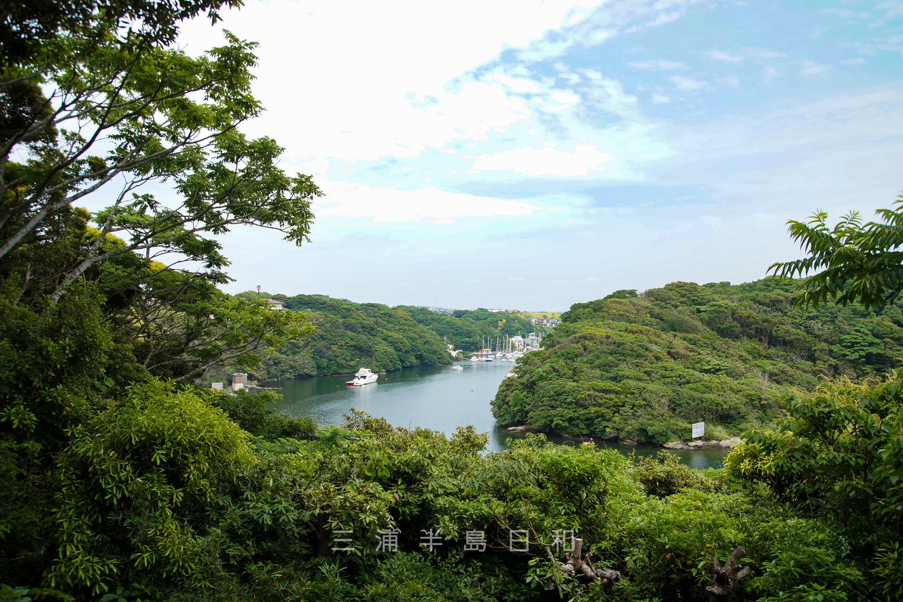 荒井浜海岸(荒井浜海水浴場)| 日本の水浴場88選に選ばれた三浦道寸ゆかりのビーチ
