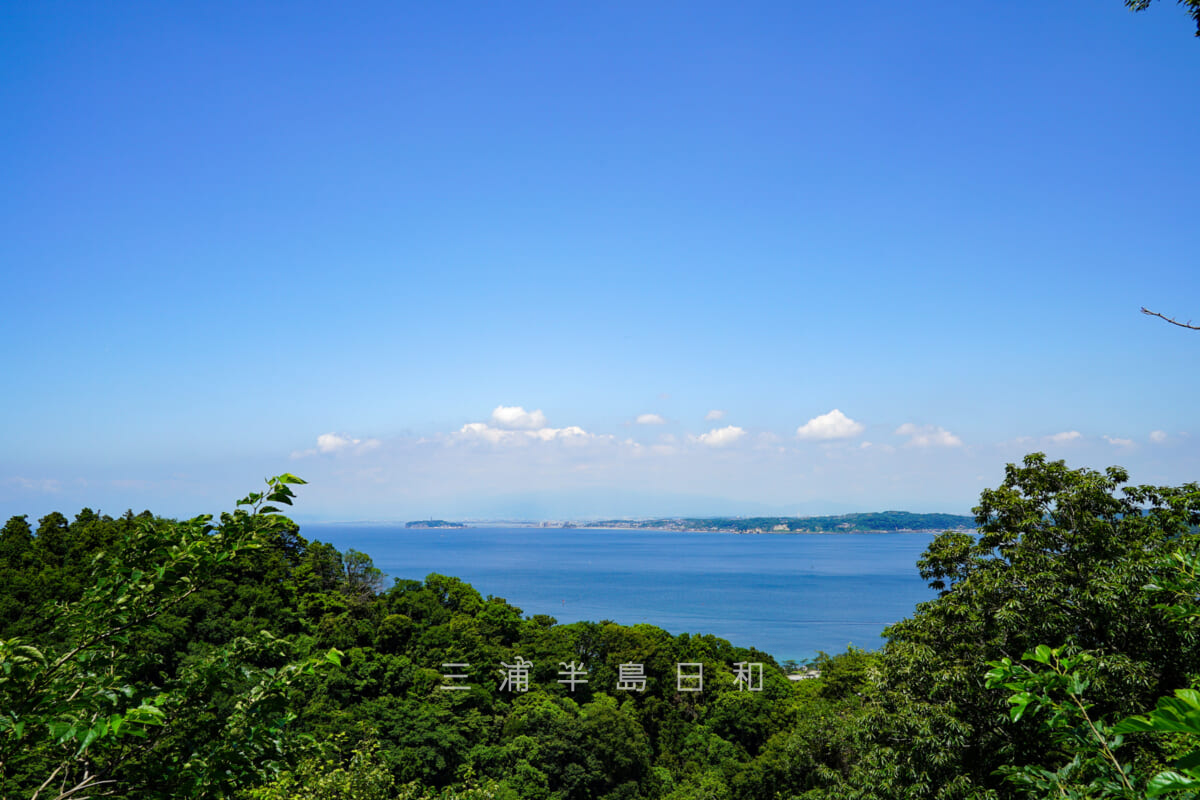 県立はやま三ヶ岡山緑地・展望デッキからの眺望（撮影日：2021.06.01）